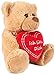 BRUBAKER Teddy Plüschbär mit Herz Rot - Ich Liebe Dich - 25 cm - Teddybär Plüschteddy Kuscheltier Schmusetier - Braun Hellbraun