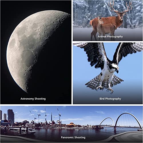 Gimbal Tripod Head For Camera,Yelangu Professional Heavy Metal 360 Panoramic Shooting Gimbal Stabilizer For Dslr Camera With 1/4" 3/8" Quick Release Plate And Bubble Level, Up To 33Lbs/15Kg #TOP6