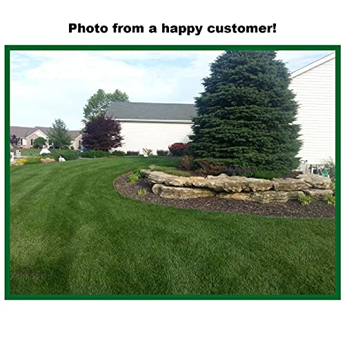 Nature’s Lawn & Garden - Lawn Force 5 - Liquid Lawn Fertilizer, Aerator, Dethatcher, With Humic & Fulvic Acid, Kelp/Seaweed, And Mycorrhizae - For All Grass Types - Non-Toxic, Pet-Safe - 1 Gallon #TOP5