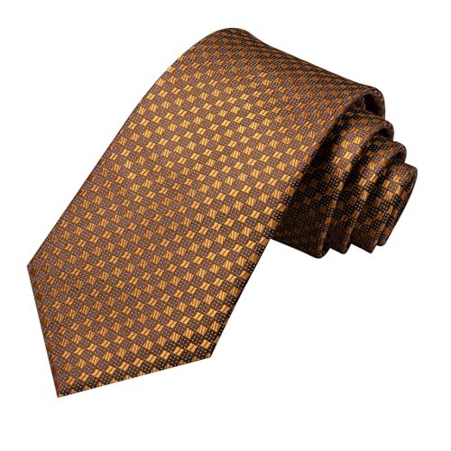 Image of Hi-Tie Mens Paisley Floral Striped Ties Set Silk Necktie and Lapel Pin for Men Pocket Square Cufflinks Set Business Wedding