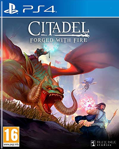 Koch Media NG - CITADEL MET vuur gesmeed - PS4