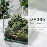 TOYANDONA lot de 10 fausses roches miniatures grises de 5,5 cm photo 3