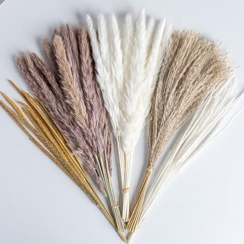 70PCS Natural Dried Pampas Grass Boho Home Decor Bouquet Phragmit...