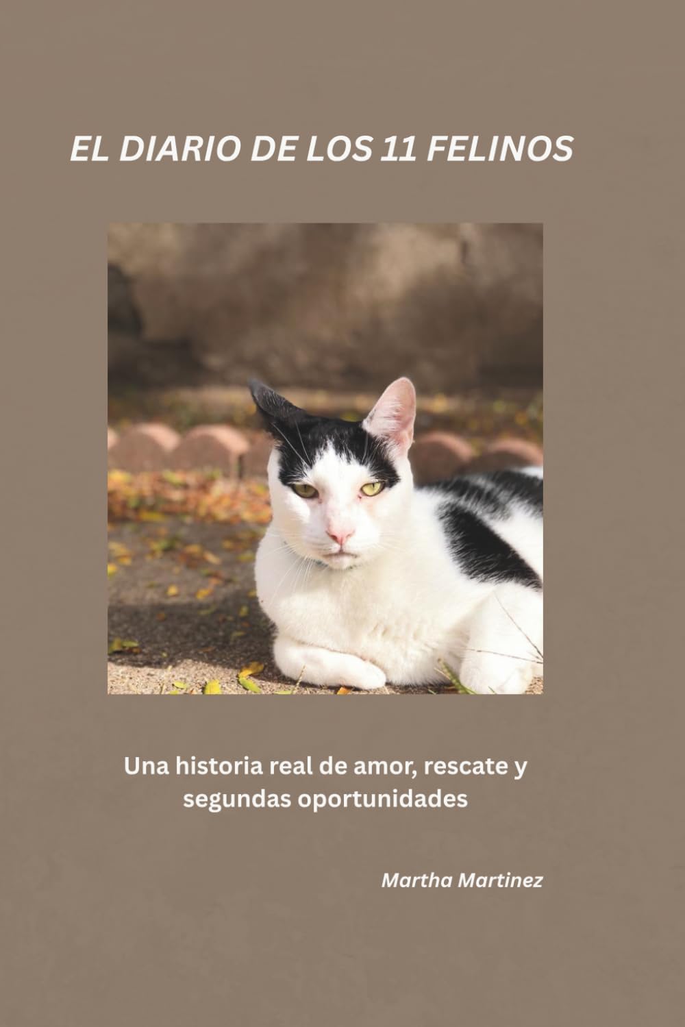 EL DIARIO DE LOS 11 FELINOS: Una historia real de amor, rescate y segundas oportunidades