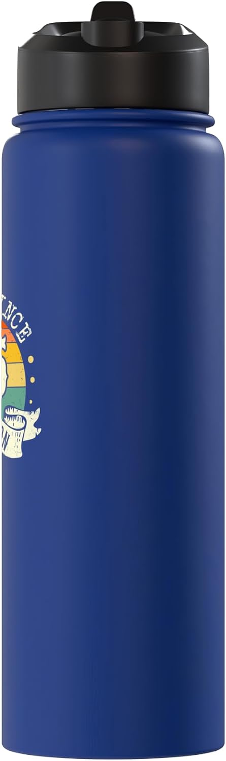 Born In 2015 Awesome Platinum Edition Simple 2015 Birthday Stainless Steel Insulated Water Bottle