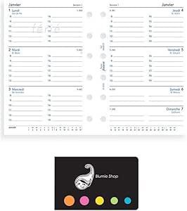 Lot Agenda Français Civil 2023 Paperblanks "Chroniques Turquoises" Ultra Vertical 1 Semaine Sur - View #10