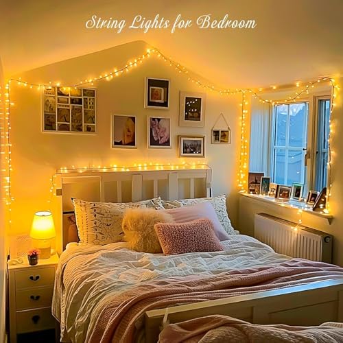 Desidiya HashWOW 60m Warm White LED Pixel String Light Pack of 1 - Image 3