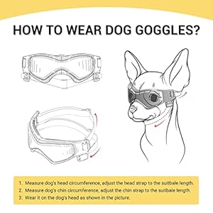   PETLESO-Dog-Goggles-Small-Breed-Dog-Sunglasses-for-Small-Breed-UV-Protection-Eyewear-for-Small-Dog-Outdoor-Riding-Driving-Small-Black
