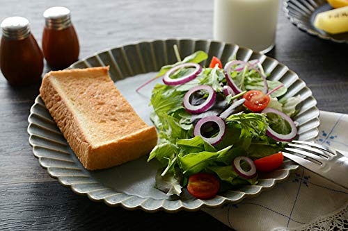 Amazon.co.jp: スタジオエム バルバリ メインプレート グリズ : ホーム