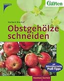 Obstgehölze schneiden