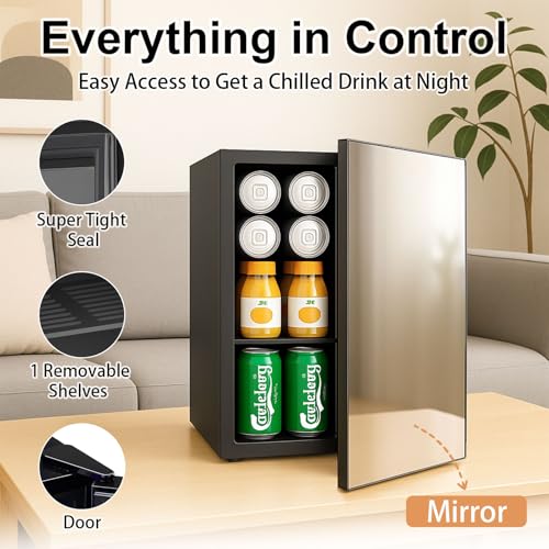 Image of DOGHLY 0.95 Cu.Ft Mini Refrigerator and Beauty Fridge, 24 Cans Mini Fridge with Mirror Door, Temperature Control, Removable Shelf, Compact Cooler for Bedroom, Dorm, Office, Beverage Beauty Storage