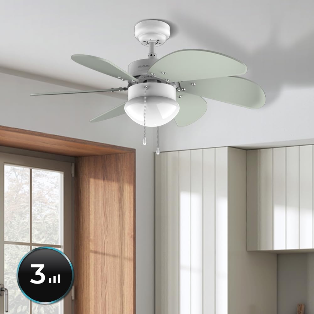 Cecotec Ventilatore da Soffitto con Luce EnergySilence 3600 Vision Mint. 50 W, Diametro 92 cm, Lampada, 3 Velocità, 6 Pale Reversibili, Funzione Estate/Inverno, Interruttore a Catena, Bianco/Menta