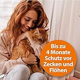 Ardap Zecken- und Flohhalsband - 6