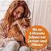 ARDAP Zecken- & Flohschutzhalsband für Katzen ab dem 4. Monat - Bis zu 4 Monate nachhaltiger Langzeitschutz - Natürlicher Wirkstoff gegen Zecken & Flöhe (PT19)