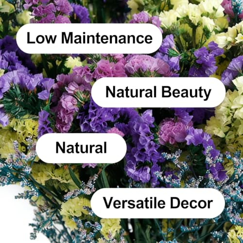 Arreglo de Flores Secas Natural para Decoración miniatura 6