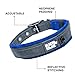 Black Rhino Reflective Dog Collar - Heavy Duty Adjustable Comfort Collar with Ultra Soft Neoprene Padding for All Breeds - Weatherproof, Lightweight Dog Collars for Large Dogs (Large, Blue/Grey)