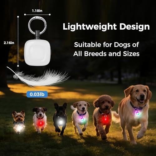 MonHall 2er Hundelicht, 4-Modi Wiederaufladbare Leuchtanhänger Hund, Superhelle Licht Hund, IP68 Wasserdicht Hunde Licht für Hunde Kinder Jogger Camper