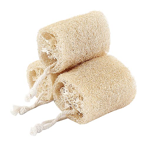 �V�R�w�`�}�X�|���W �p������ �{�f�B�X�N���o�[ �����\�Ȋp������ �G�W�v�g���o�X�Ő����ɂȂ� �Ό����L���邾���łȂ� �t�F�C�X�o�b�N�G�R