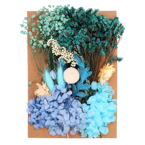 PATIKIL Pressed Flowers for Craft, Bulk Dried Flowers Natural Pressed Flowers Leaves for Resin Soap Candle Scrapbooking DIY Gift Papermaking, Blue