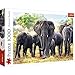 Brandsseller Puzzle (1000 piezas), diseño de elefantes africanos