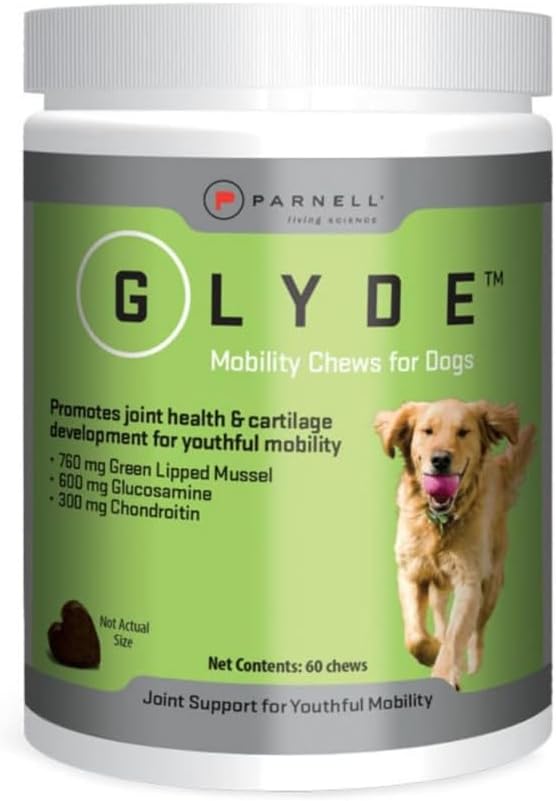 Glyde Mobility Dog Chews for Hip & Joint Support – Advanced Dog Joint Supplement with Glucosamine, Chondroitin & Green-Lipped Mussel – Supports Mobility, Flexibility & Healthy Joints – 60 Soft Chews