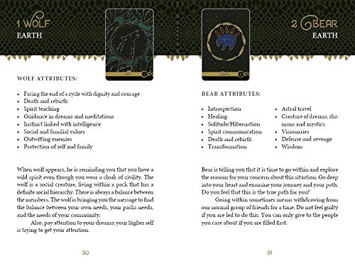 The Wild Elemental Oracle: (Oracle Kit Box Set with 44 Cards and Guide Book) - Image 5