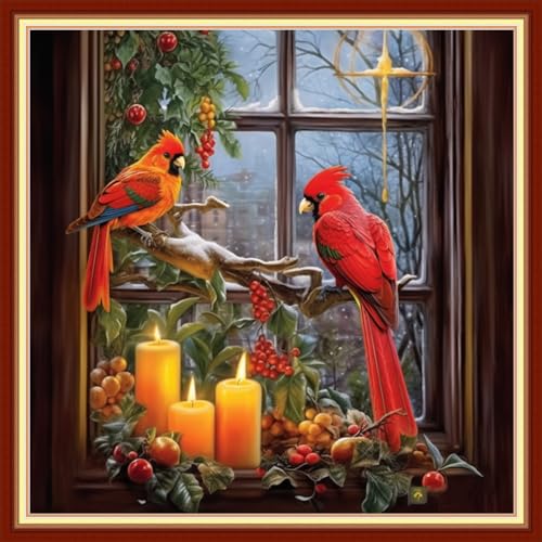 Image of Funxvoot Stamped Cross Stitch Kits Beginners Full Range of Embroidery Kits for Adults 11CT Embroidery Patterns Needlepoint Kits Printed Cross Stitch Kits - (Parrot in Front Window 18x18 inchs)