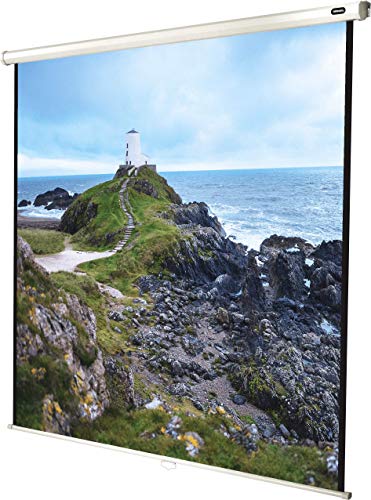 celexon manualmente Extensible Pantalla para Cine en casa y Negocios 4K y Full-HD Enrollable...