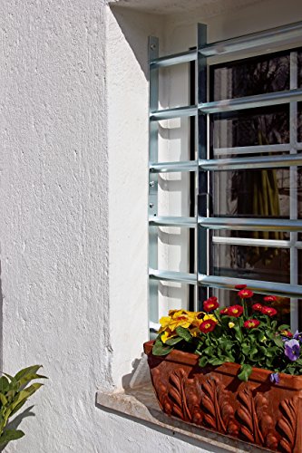 Reja de ventana antirrobo para proteger fachadas con ajuste extensible Alberts 8