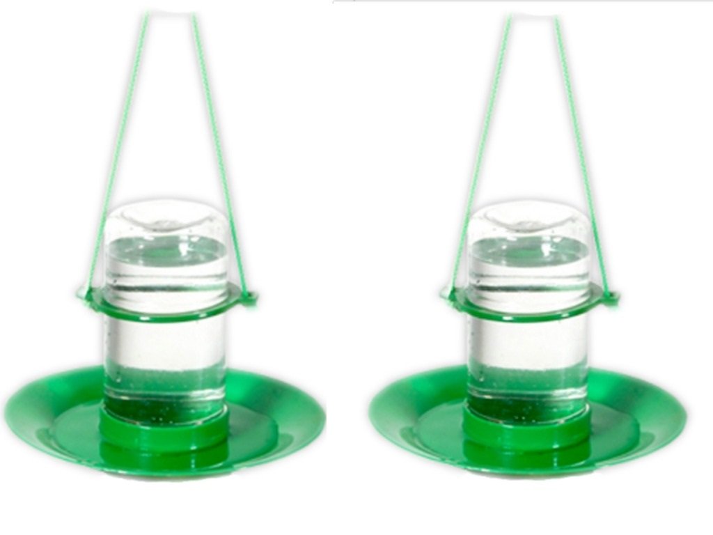 Amijivdaya Small Water Feeder (2 Pieces) (B07FXSZVKC) Amazon Price History, Amazon Price Tracker