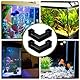 2 StückeAquarium Tunnel Unterirdischer, Aquarium Unterirdischer Tunnel, Aquarium Shrimp Cave Tunnel, Ecktunnel Für Aquarien, Fisch Und Garnelenversteck Für Aquarien Für Fische Welse Garnelen Krebse