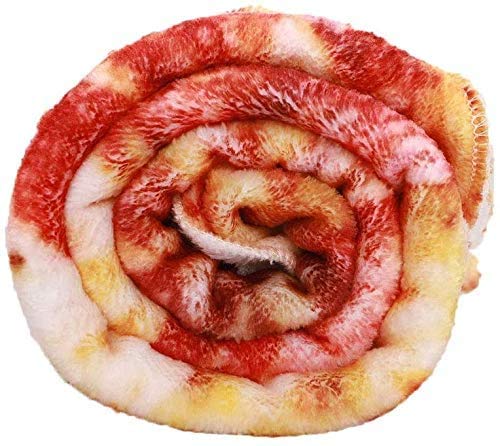 Pizza Flannel Blanket, Sofa Soft Throw Blankets, Funny Food Blanket, Large Beach Towel, Perfect For Camping, Home Bed Sleeping Blanket For Kids Child Dog (59 Inch) #TOP5