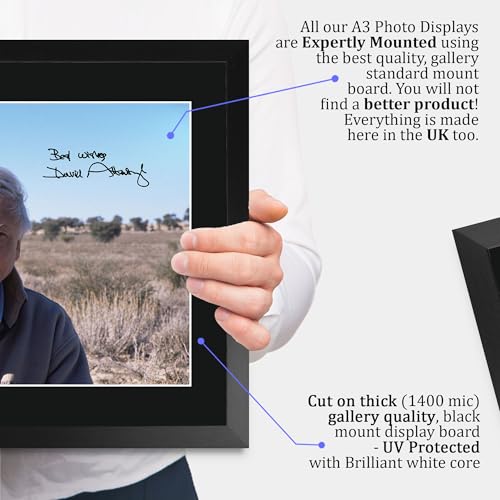 Cuadro de David Attenborough A3 enmarcado para decorar tu salón 4