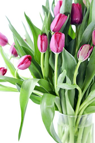 Image of KaBloom-30 Red Tulip Bouquet,Flowers for Valentine, Mother's Day