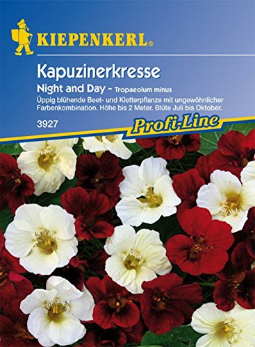 Preisvergleich Produktbild Kiepenkerl, Kapuzinerkresse, Tropaeolum minus Night und Day