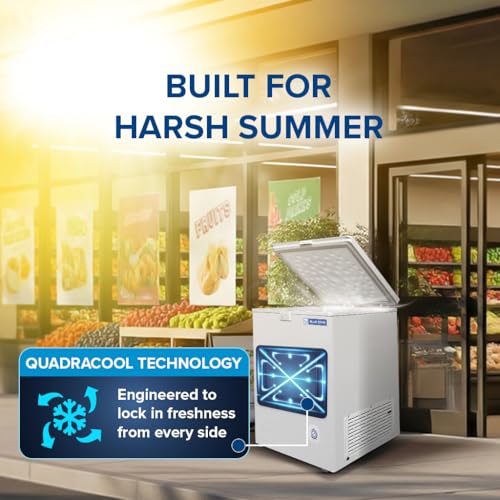 Image of Blue Star CF3-130NEYW 130 Liter Single Door Deep Freezer (108 Liter, White, 3-star)