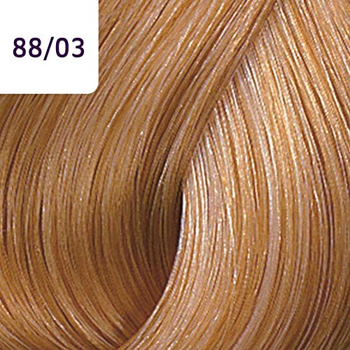 Tonalizante Color Touch Plus 88/03 Louro Claro Intenso Natural Dourado - 60G - Wella Professionals