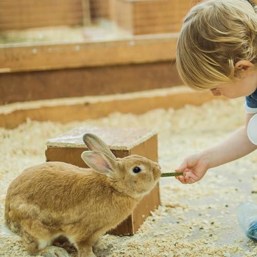TOKAYIFE Kaninchen Kauspielzeug, 400g Timothy Heu Sticks für Kaninchen, Meerschweinchen, Hamster, Chinchilla, Häschen Leckerli (40 Stück (1er Pack))