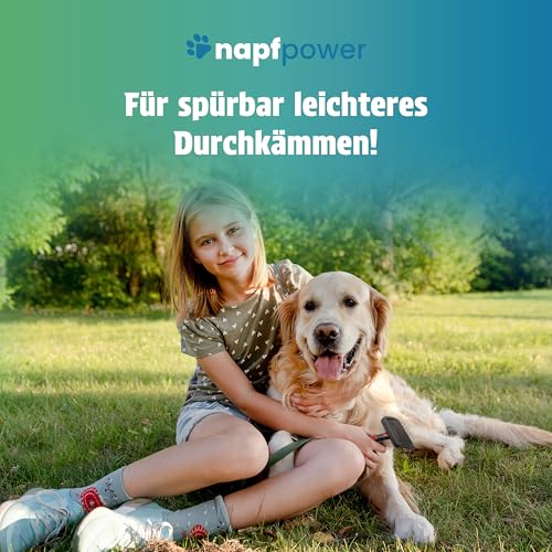 napfpower Fellpflege Hund mit Kokosduft (250 ml) – Entfilzungsspray & Fellglanzspray für einfache Kämmbarkeit – Fellspray für EIN staubfreies Hundefell - Entwirrt verknotetes Fell & pflegt sanft