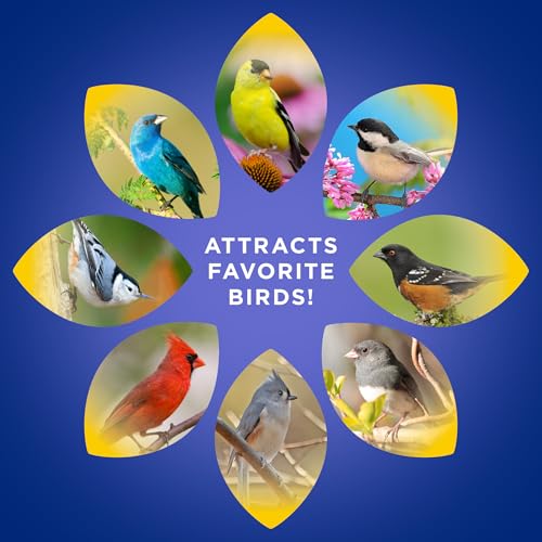 Image of Audubon Park Extreme Variety Wild Bird Seed for Outside Feeders, 15-lb. Bag