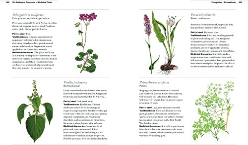 The Gardener's Companion to Medicinal Plants: An A-Z of Healing Plants and Home Remedies: 1