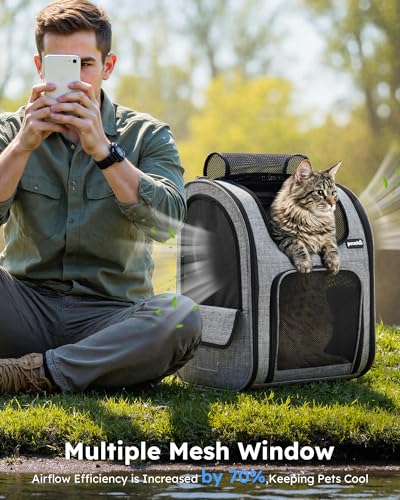 pecute Haustier Rucksack mit Netzfenster XL für 6-10 kg, Tragbare und Faltbare Katzentasche, Atmungsaktive und Leichte Hundetasche, Wasserdichtes Oxford-Tuch mit Viel Platz, Multifunktionales Grau