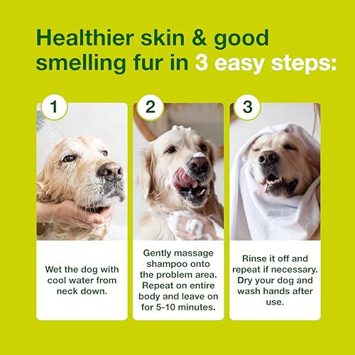Douxo-S3-SEB-Dog-Seboregulating-Shampoo-Seborrhea-Treatment-for-Dogs-Cats-Helps-Control-Dandruff-Unpleasant-Odors-OilyFlaky-Skin-05-Ophytrium-169-fl-oz