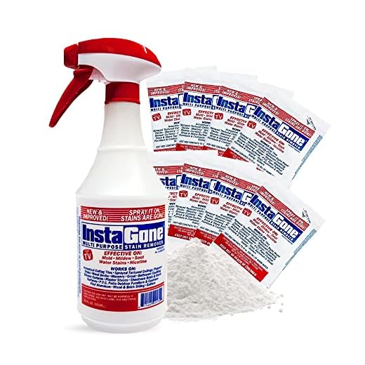 INSTAGONE Stain Remover with Refill Packs