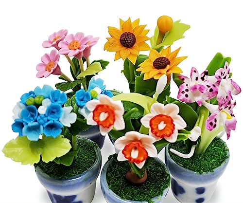Plante miniature pour corriger le manque de réalisme déco - 6