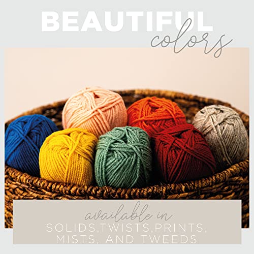 Lion Brand Yarn LBY-034 1 Skein) Lion Brand Yarn Vanna'S Choice Yarn thumb #1