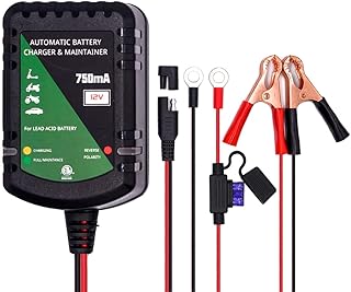 12 Volt Battery Charger 750mA Automatic Battery maintainer trickle Battery Charger for Automotive car Motorcycle Lawn Mower Boat ATV Sealed Lead Acid Batteries