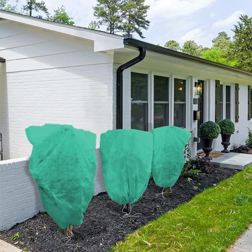 ZEACCT 2er-Pack Frostschutz-Pflanzenschutz, Winter-Kordelzug-Pflanzenschutz, Warmer Pflanzenschutz, Topfpflanzenschutz, Winddichter Pflanzenschutz, Vliesstoff, Wiederverwendbar (Grün)