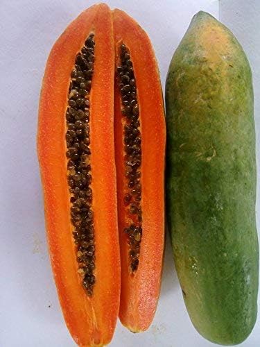 Golden Hills Farm Thai Papaya Dwarf Variety Sweet Delicious Fruit 50 Seeds