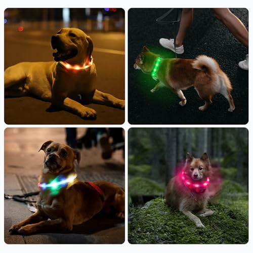 Nepfaivy Leuchthalsband Hund USB Aufladbar - Wasserdichtes Hundehalsband Leuchtend mit Verstellbarer Länge, LED Halsband für Hunde mit 3 Beleuchtungsmodi für Sicherheit, Mehrfarbig